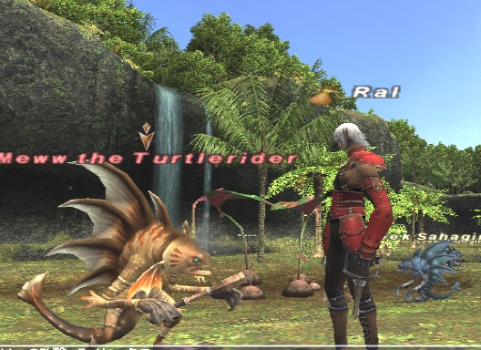 Meww the Turtlerider